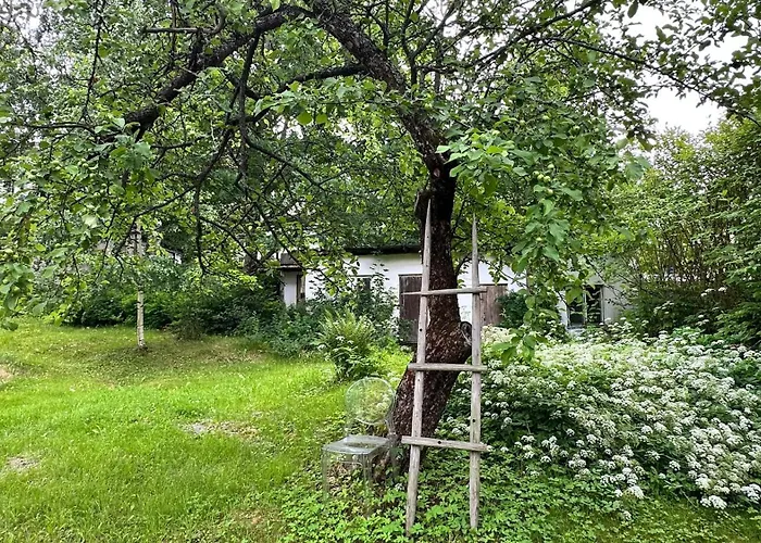 Time Jaenoenkuja Jyväskylä